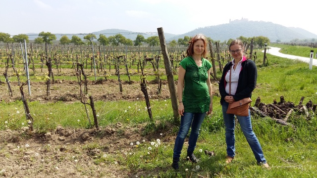 Maria ja Anna gruner veltliner viinitarhassa